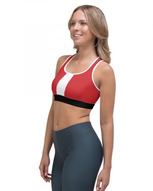 Santa Claus Costume – Sports bra