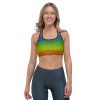 Rainbow Mermaid Sports Bra